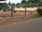Valuable Land Plot for Sale in Kandana