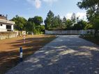 Valuable Land Plot Sale In Athurugiriya Town