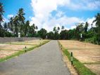 Valuable Land Plots At Welipenna