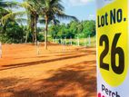 Valuable Land Plots Attanagalla. S