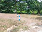 Valuable Land Plots For Sale In Athurugiriya