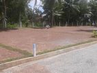 Valuable Land Plots For Sale In Batagama Road Kandana