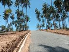 Valuable Land Plots for Sale in Beliatta