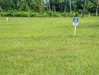Valuable Land Plots for Sale in Beliatta