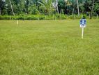 Valuable Land Plots For Sale In Beliatta