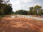 Valuable Land Plots for Sale in Benthara Elakaka