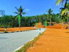 Valuable Land Plots for Sale in Galpatha 🌿