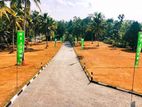 Valuable Land Plots for Sale in Galpatha