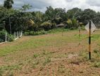 Valuable Land Plots for Sale in Homagama