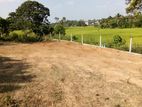 Valuable Land Plots for Sale in Homagama