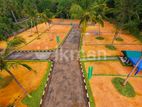 Valuable Land Plots For Sale in ja-ela