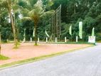 Valuable Land Plots for Sale in Kadawatha