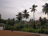 Valuable Land Plots For Sale In Kiriberiya- Homagama
