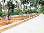 Valuable Land Plots for Sale in Melsiripura E04
