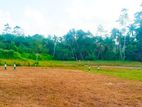 Valuable Land Plots for Sale in Nawagamuwa