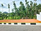 Valuable Land Plots For Sale in Nittabuwa