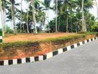 Valuable Land Plots for sale in Panadura