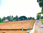 Valuable Land Plots for Sale in Piliyandala