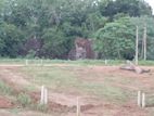 Valuable Land Plots for Sale in Raigama Junction