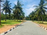 Valuable Land Plots for Sale in Seeduwa