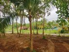 Valuable Land Plots For Sale In Tangalle