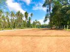 Valuable Land Plots For Sale Veyangoda