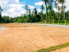 Valuable Land Plots For Sale Veyangoda