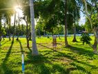 Valuable Land Plots in Pannala. s