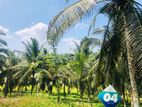 Valuable land plots near to bandaragama and horana