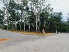 Valuable Land plots near to Horana