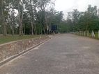 Valuable land plots near to Horana town