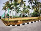 Valuable land plots sale for panadura