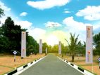 Valuable Land Plots Sale In Diyagama