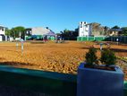 Valuable Land Plots Sale In Moratuwa