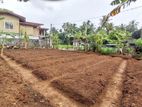 Valuable Land Property for Sale in Pitipana, Homagama.