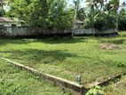 Valuable Land Sale Immediately