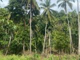 Valuable land sale in Gelioya