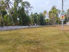 Valuable Land Sale in Giriulla