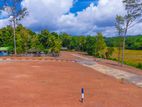 Valuable Land Sale in Near Matara Town