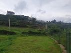 Valuable Land Sale in Nuwaraeliya