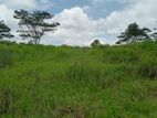 Valuable Land sale in Pussellawa