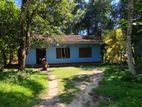 Valuable Land with House For Sale in Katunayake