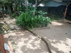Valuable Land with Old House for Sale in Piliyandala -PAS004L