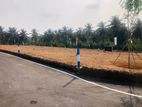 Valuable Lands for Sale Homagama