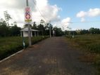 Valuable lands for sale in Bandaragama Moronthuduwa