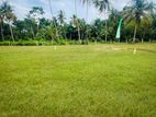 Valuable Lands for sale in Beliatta