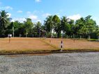 Valuable Lands for Sale in Homagama - Thalagala