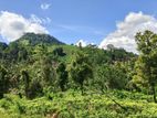 Valuable Lands for Sale in Kandy Hadeniya Bolagala