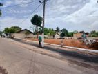 Valuable Lands for Sale in Mount Lavinia