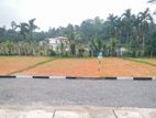 Valuable Lands for Sales in Minuwangoda